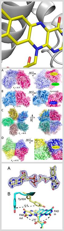 Molecular diagrams show various protein structures and domains in distinct colors, including close-ups of bonds and labeled regions with 3D models.